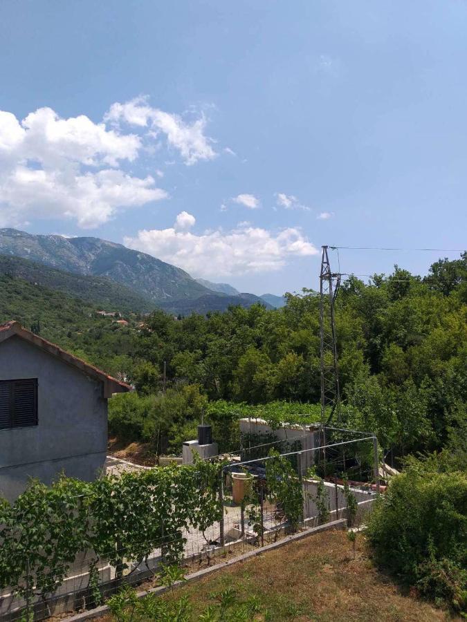 Apartment Davidovic Tivat Exterior photo
